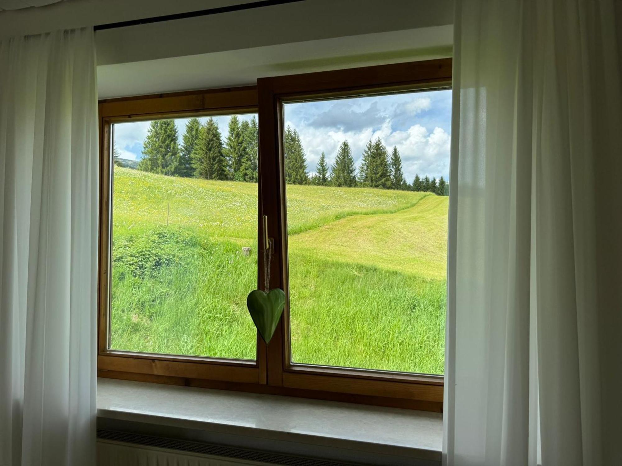 Lichterberg Apartment Hirschegg  Екстериор снимка